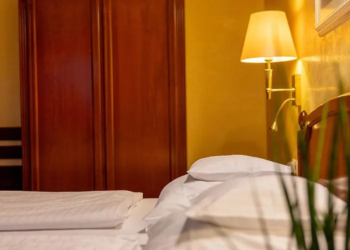Altstadthotel Braeuwirt ヴァイデン